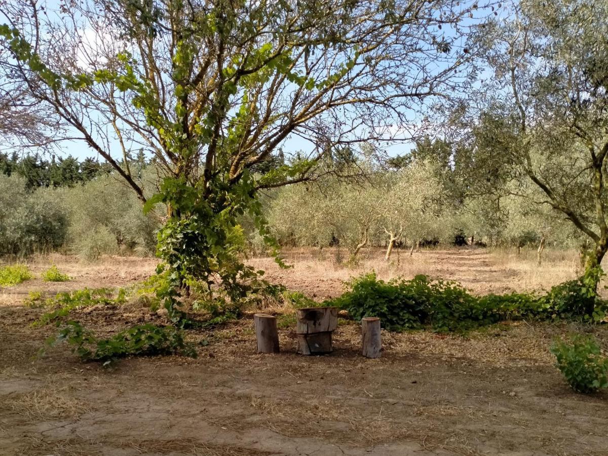 Casa Margherita Cabras Luaran gambar