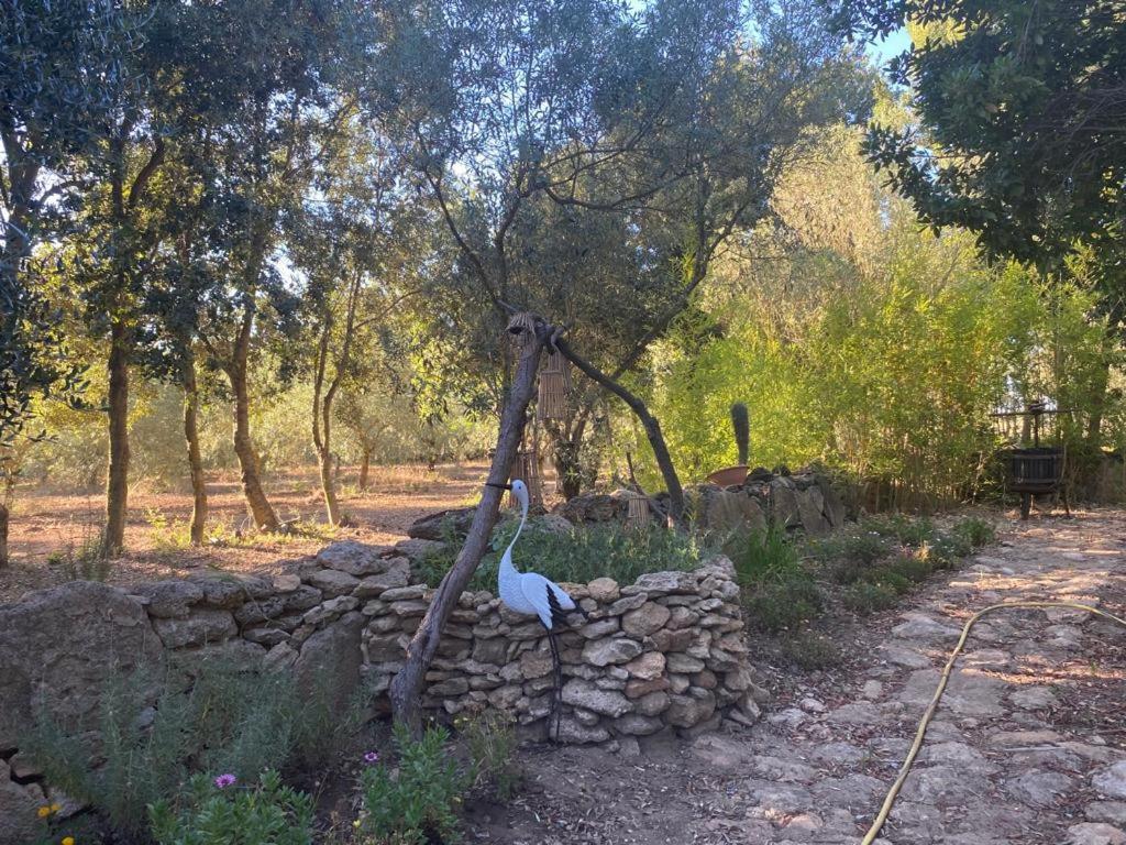Casa Margherita Cabras Luaran gambar